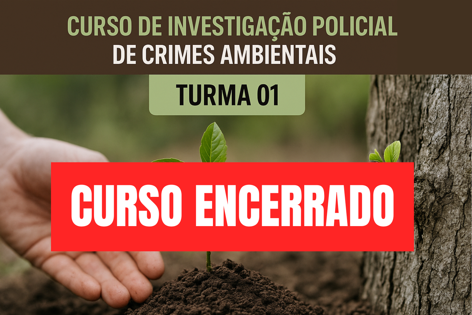CURSO